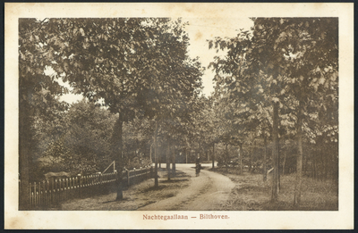17114 Gezicht in de Nachtegaallaan te Bilthoven (gemeente De Bilt).